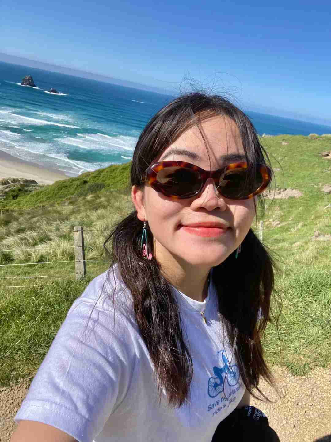 Discover Sandfly Bay, Dunedin: New Zealand's Hidden Gem for Nature Lovers