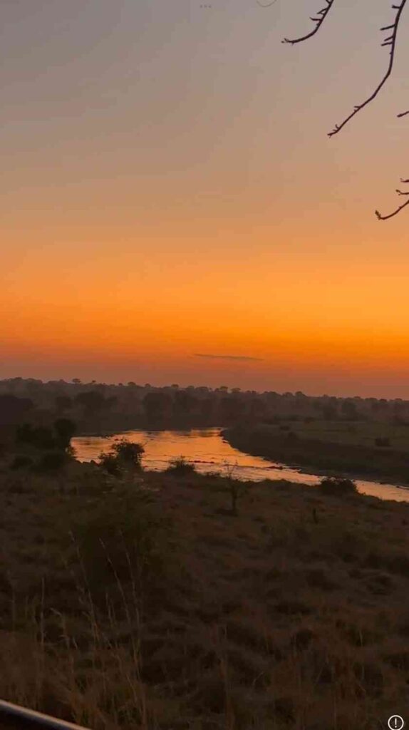 Découvrez la rivière Singita Mara : une expérience de safari ultime pour les amoureux de la faune