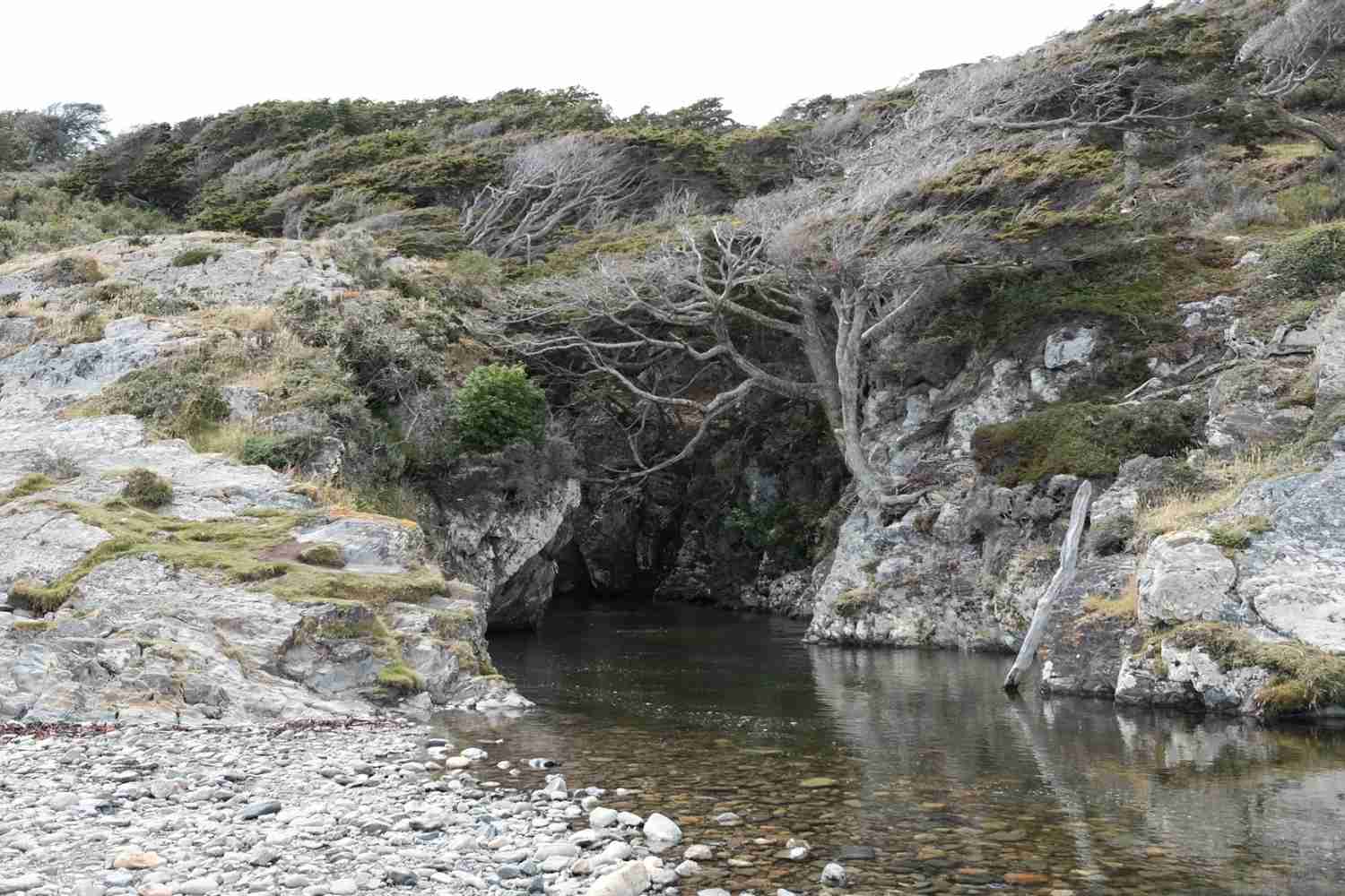 Entdecken Sie drei kostenlose idyllische Wanderwege in Ushuaia für Abenteuerlustige