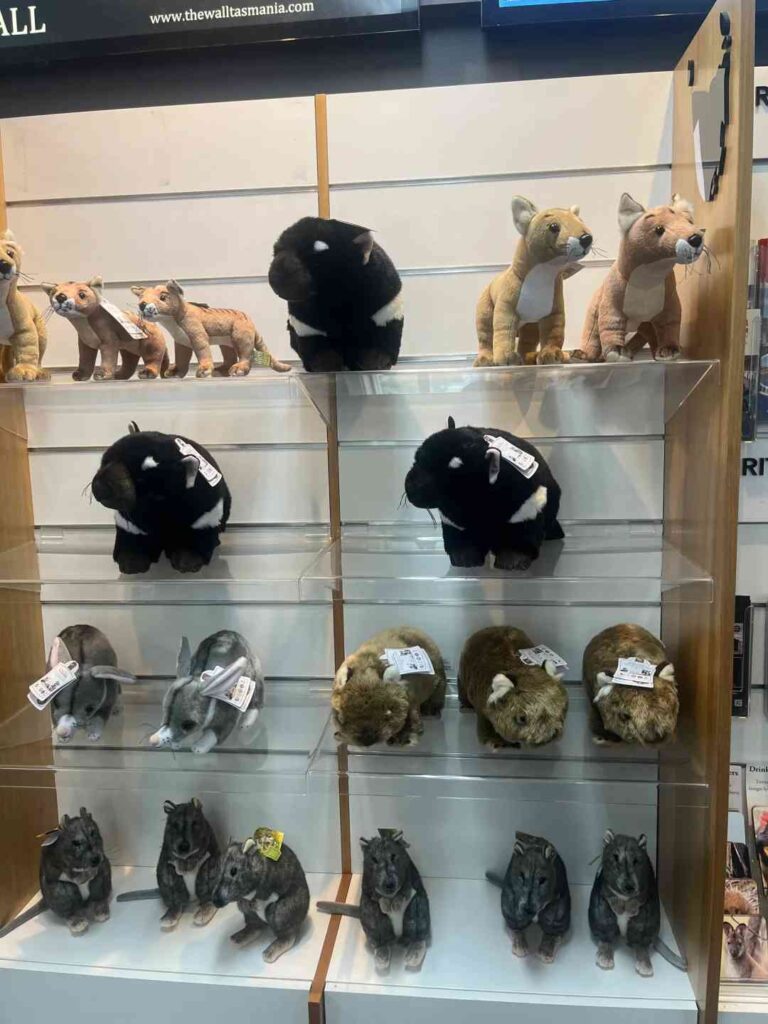 Descubra Experiências de Compras Únicas em Hobart: Não Perca! 🛍️