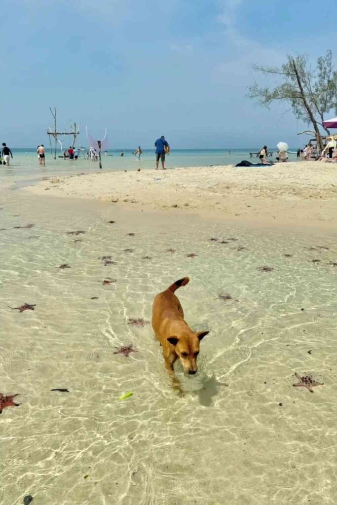 Discover Vietnam’s March to May Travel Deals: Hotels Slash Prices by 50% 😍