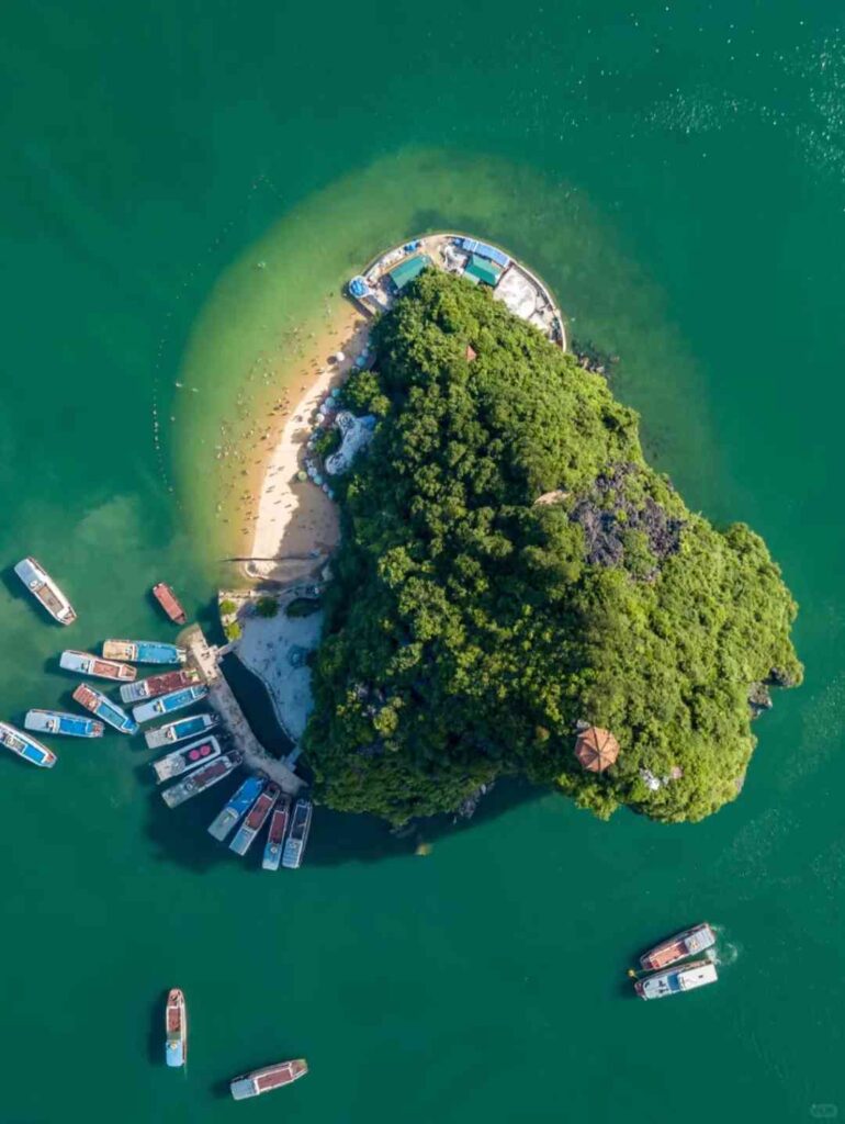 Discover Why March is Perfect for Exploring Ha Long Bay Abroad