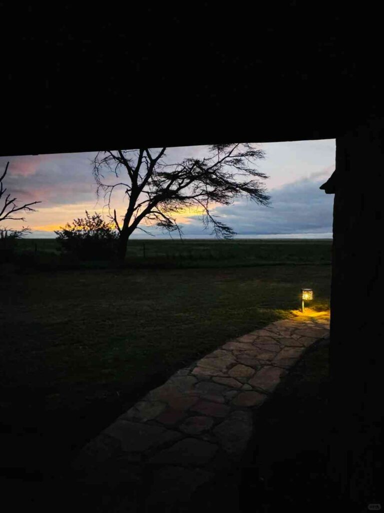 Entdecken Sie die Tierwelt im Amboseli Nationalpark: Die besten Safari Lodges & Touren
