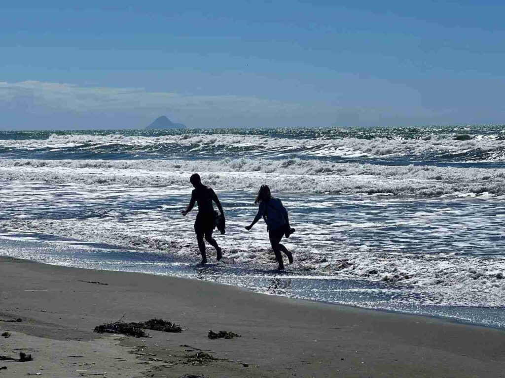 Discover Your Perfect New Zealand Immigration Buddy Today