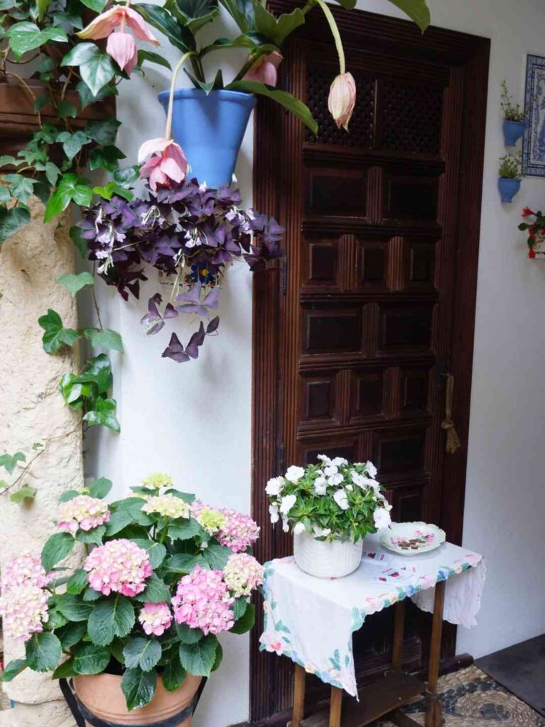 Entdecken Sie die antike spanische Stadt, ideal für Blumenliebhaber und Gartenschüler.