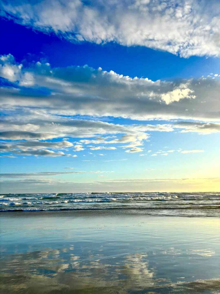 Discover the Best Hidden Beaches in Dunedin for a Perfect Getaway