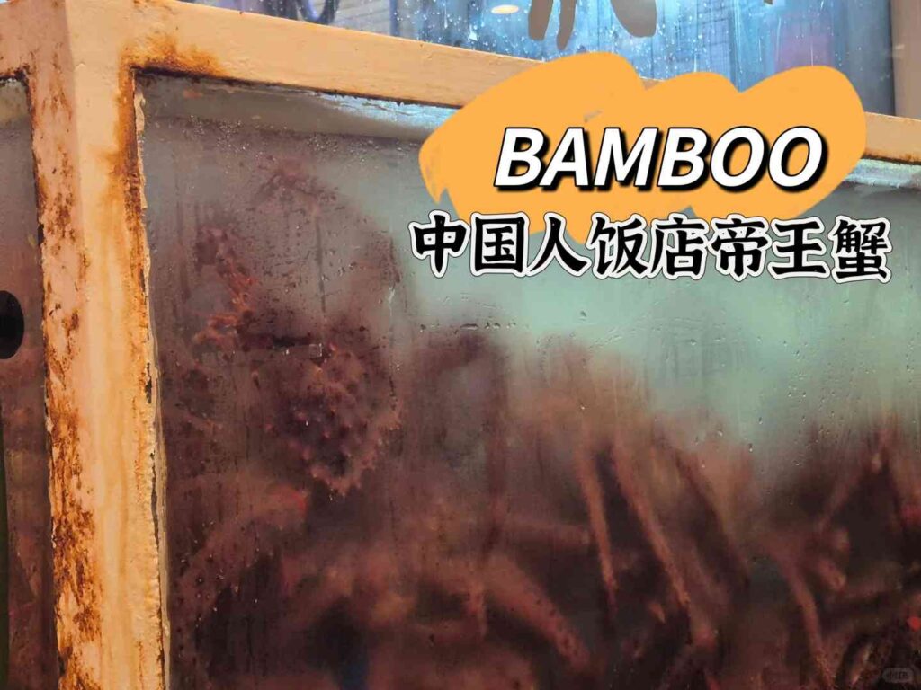 Discover the Best King Crab in Ushuaia: Skip Bamboo Chinese & Find Top Spots
