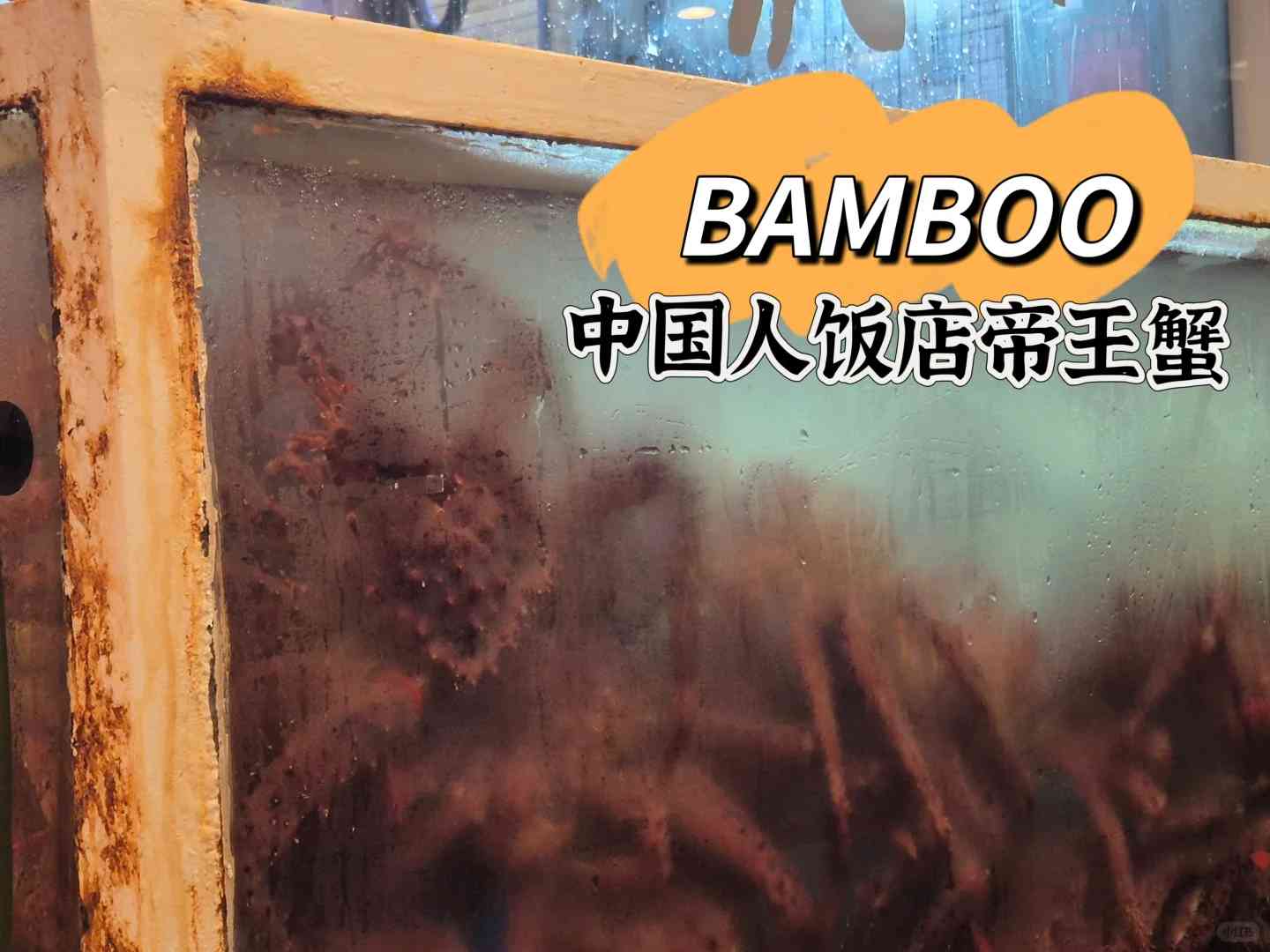 Откройте лучшего королевского краба в Ушуайе: пропустите Bamboo Chinese и найдите лучшие места