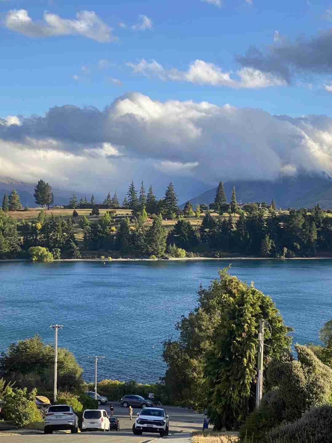 Discover the Best of New Zealand's Summer: Top Activities and Hidden Gems