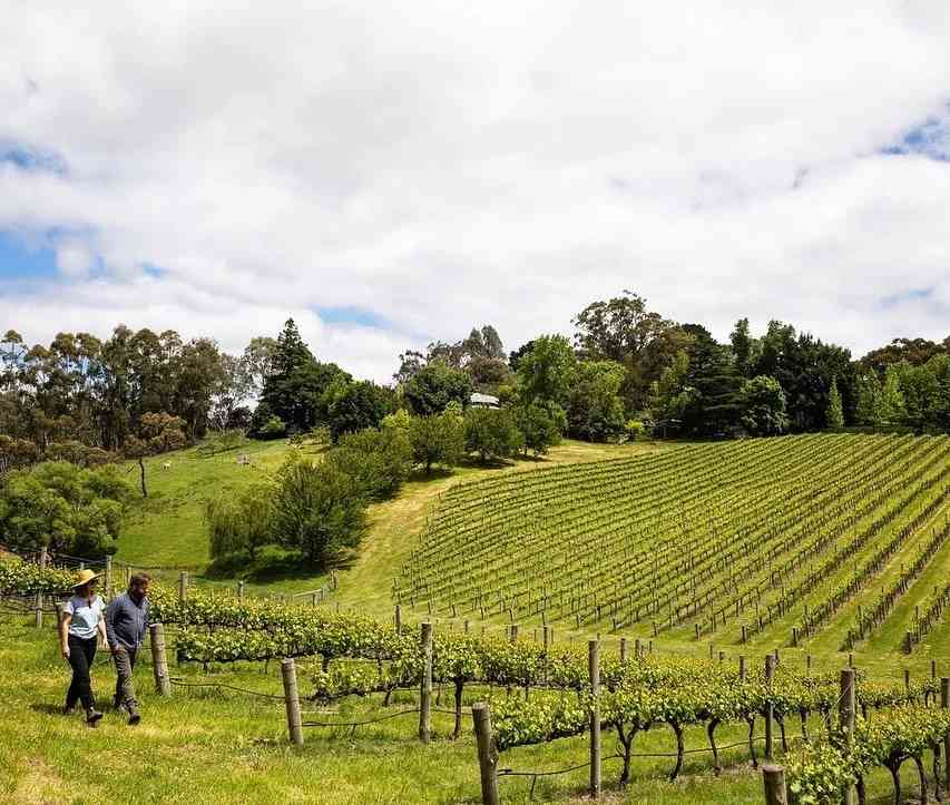 Descubra a Deslumbrante Beleza das Colinas de Adelaide na Estação do Outono