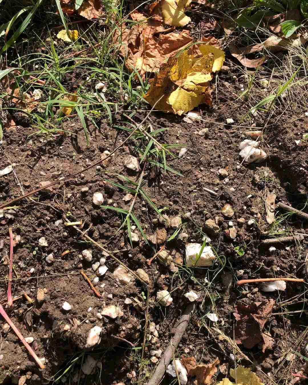 Descubra a Deslumbrante Beleza das Colinas de Adelaide na Estação do Outono