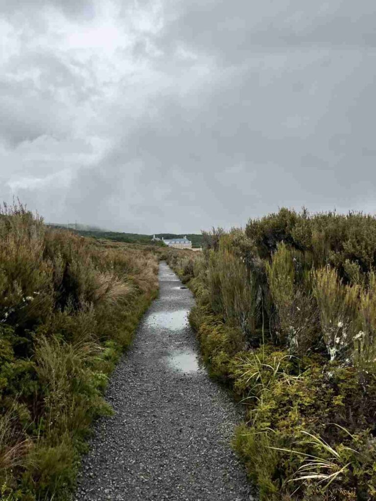 Discover the Breathtaking Beauty of Tongariro Falls in New Zealand