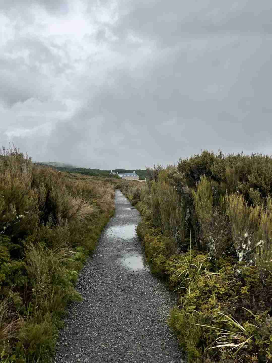 Descubra a Deslumbrante Beleza das Cachoeiras de Tongariro na Nova Zelândia