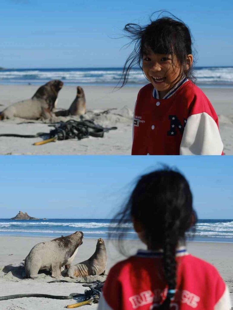 Discover the Breathtaking Sandfly Bay: Dunedin’s Hidden Gem in New Zealand
