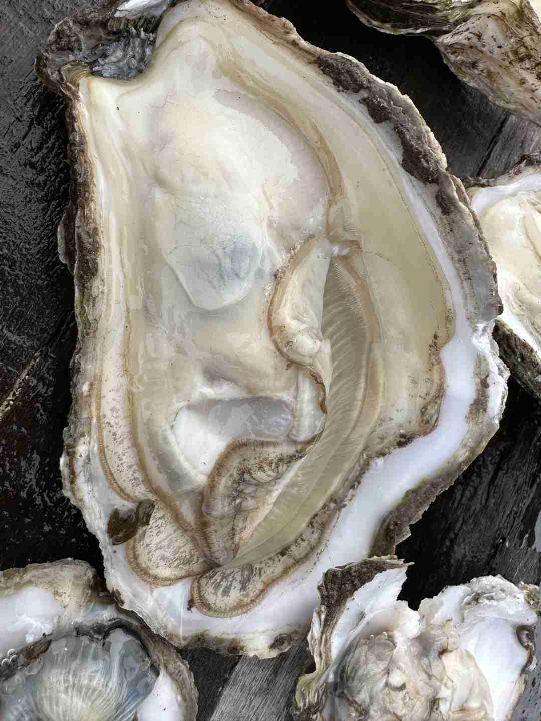 Откройте изысканные вкусы русского морепродуктового ужина в Анадыре