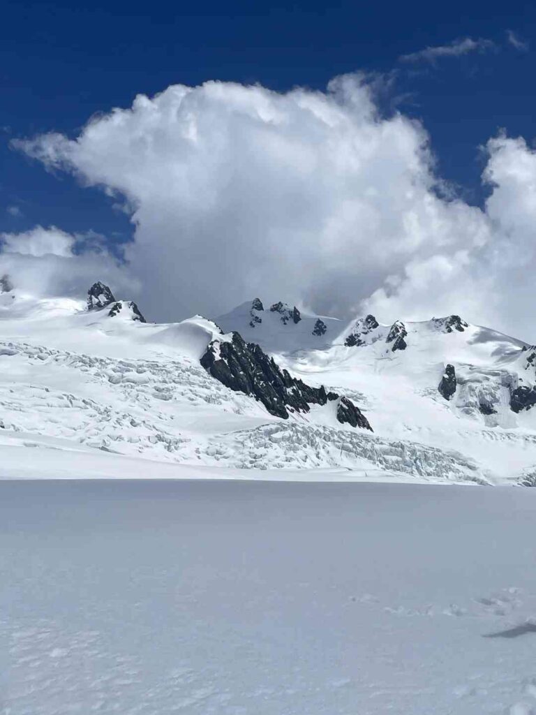 Discover the Healing Power of Live Photos: New Zealand’s Early Summer Escape