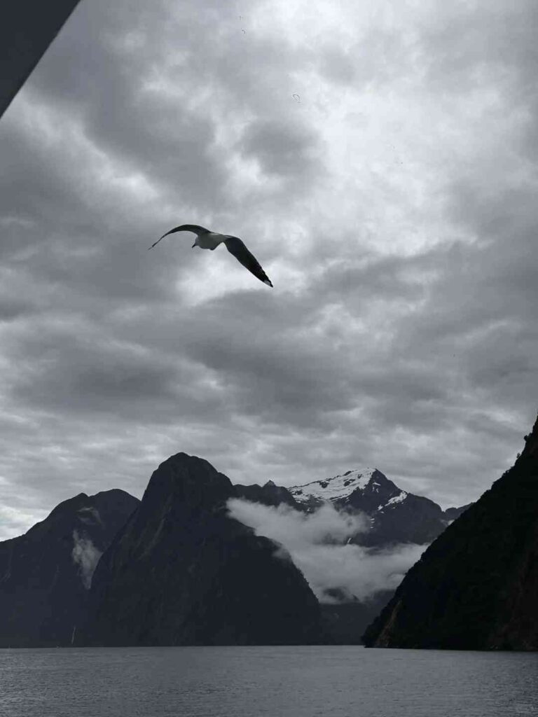 Entdecke die verborgenen Duftnote von Milford Sound: Eine duftende Reise wird sichtbar.