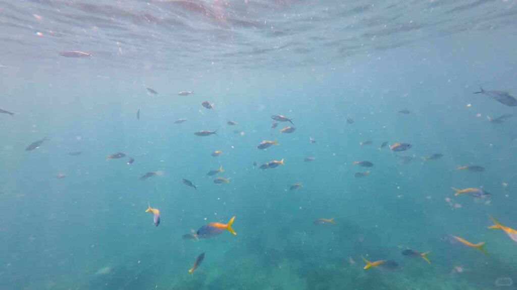 Descubra o Tesouro Escondido: Pulau Perhentian, o Melhor Segredo de Malásia para Fugir à Ilha!