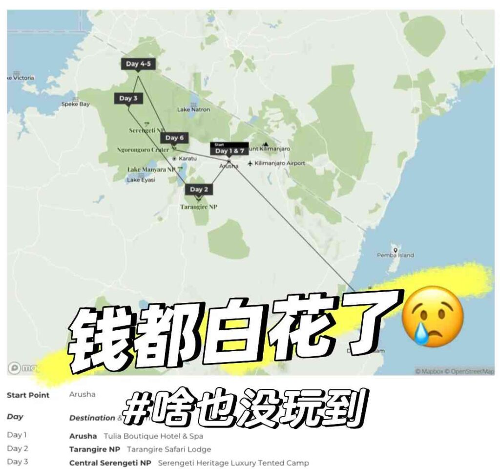 隠された宝を探そう：あなたがタanzaniaで忘れられない旅行を deserveする理由