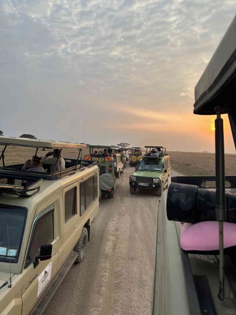 Entdecken Sie die Magie der Tierwelt im Amboseli Nationalpark, Kenia 🇰🇪