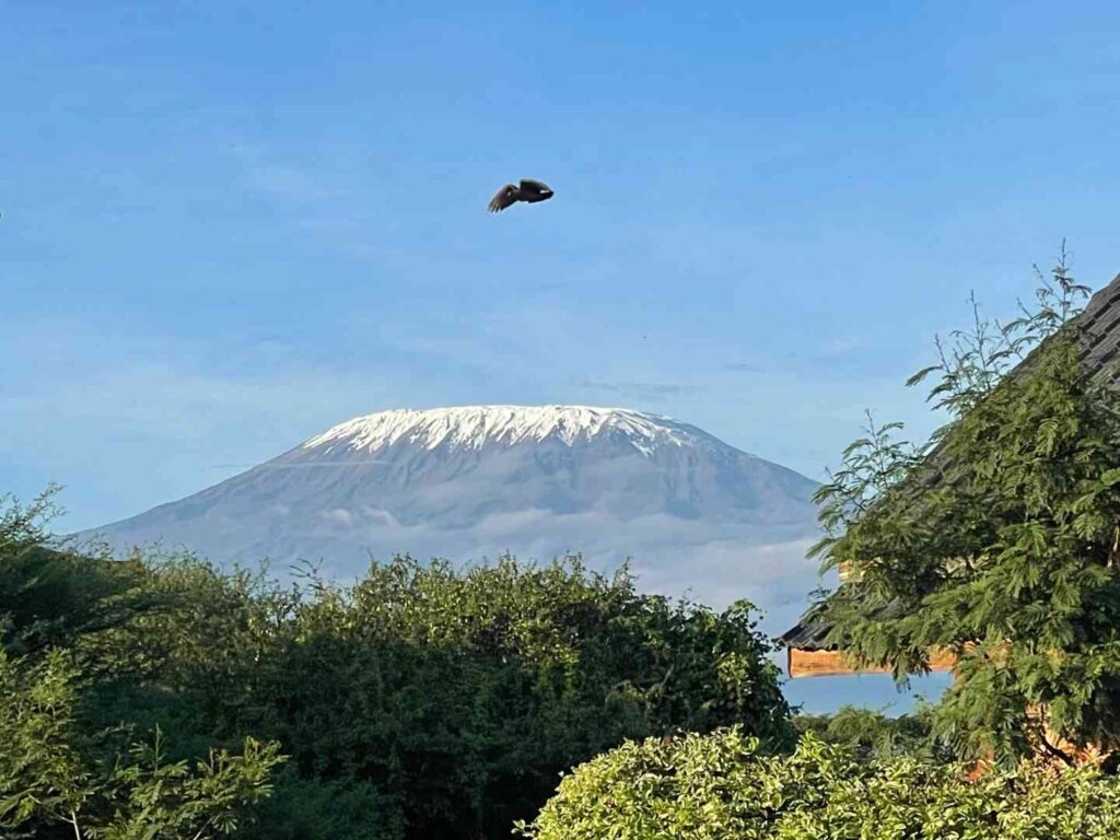 Discover the Majestic Snow-Capped Mount Kilimanjaro Near the Equator