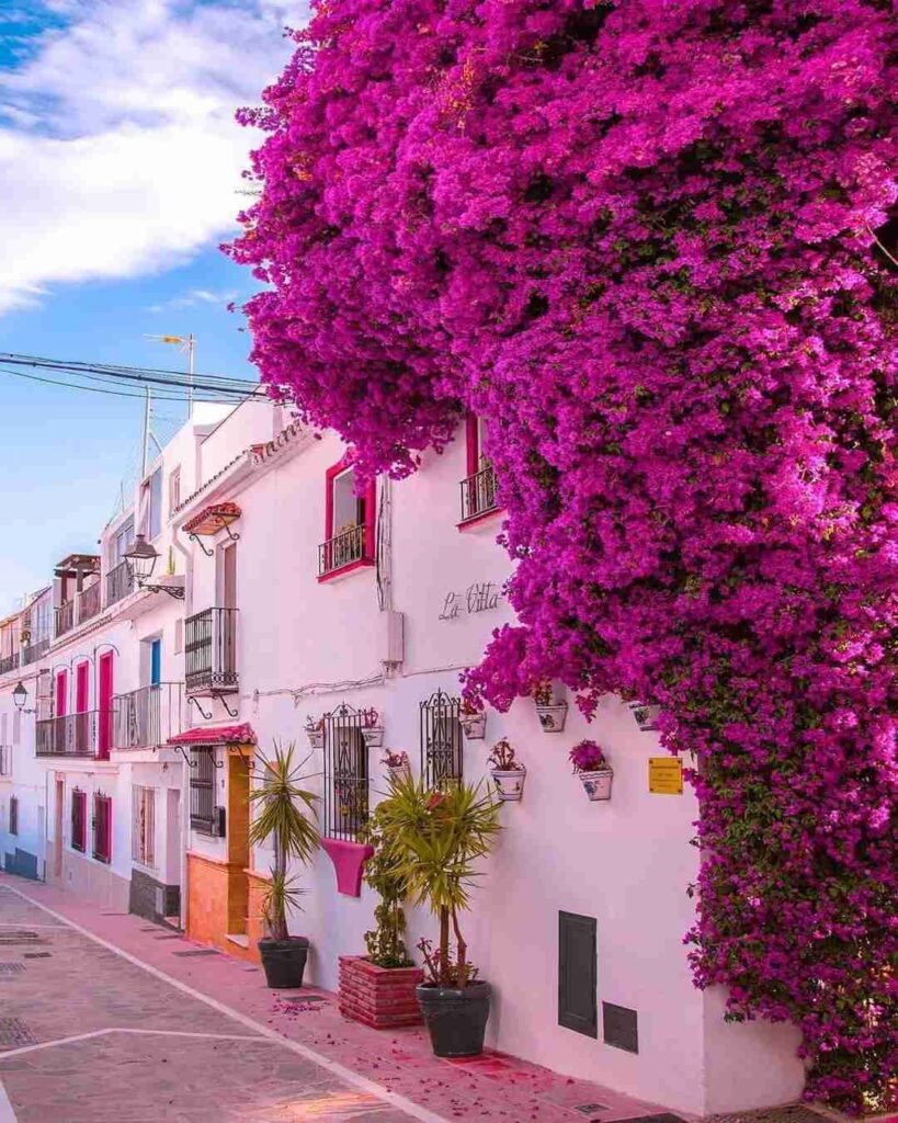 Discover the Most Beautiful and Recommended Cities to Visit in Spain 🌟