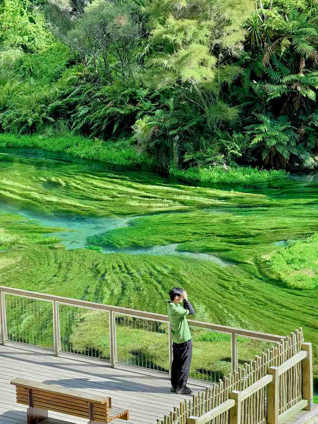 Découvrez la beauté immaculée de la source bleue de l'Île du Nord en Nouvelle-Zélande en vert