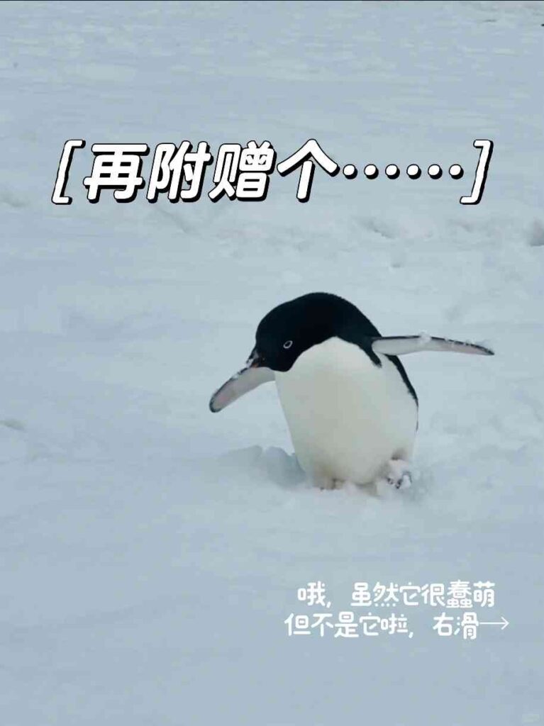 Discover the Surprising Short Duration to Reach Antarctica: Less Than a Month!