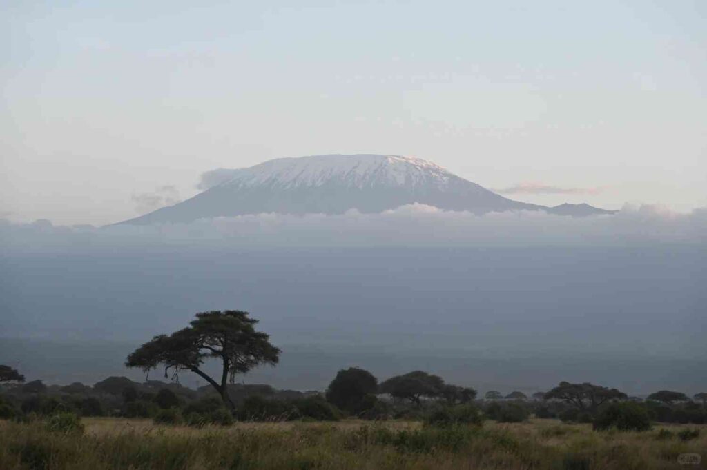 Discover the Top-Rated Favorite Hotel for Your Ultimate Kenya Safari Adventure
