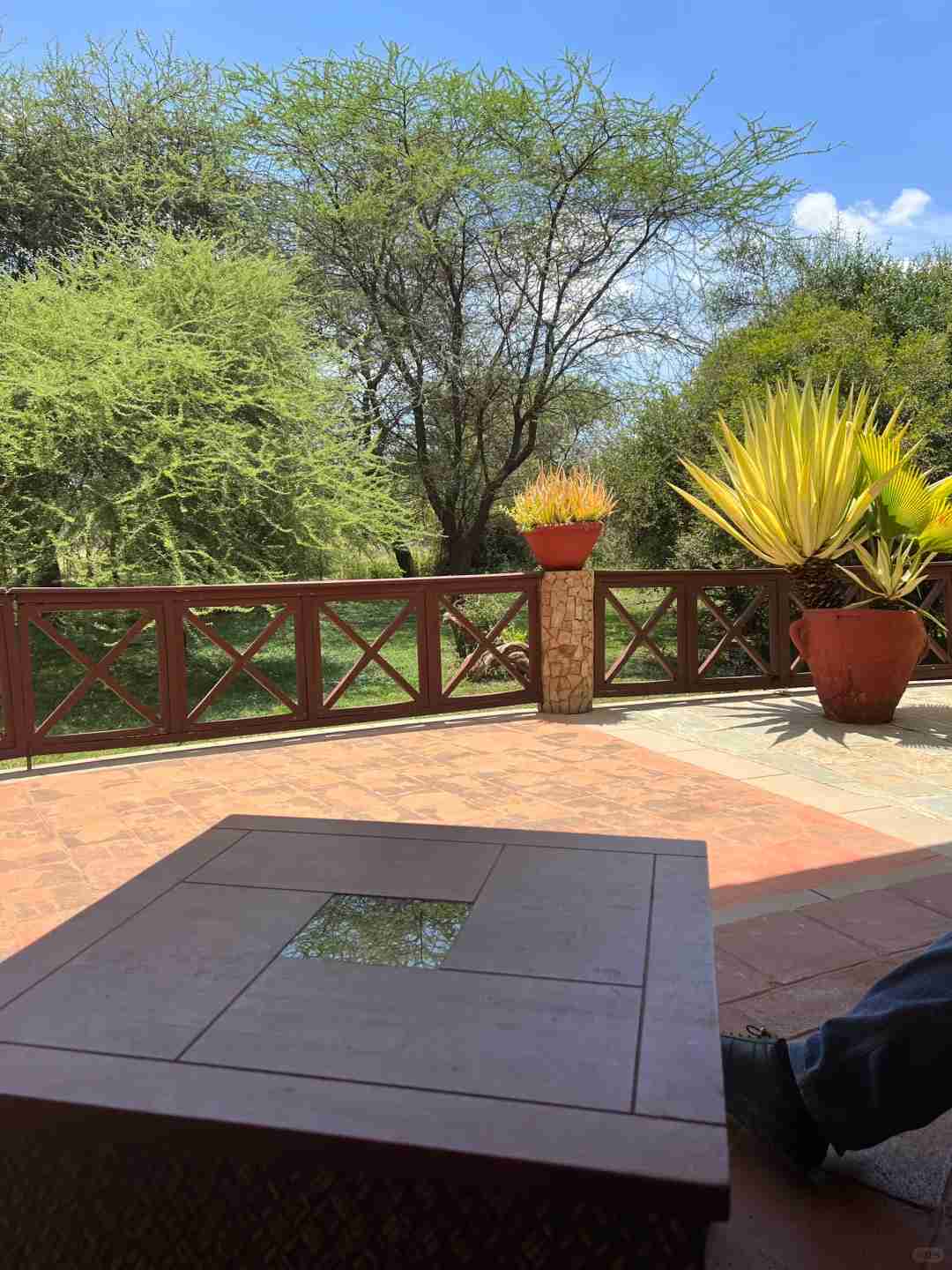 Descubra o Melhor Hotel Favorito para sua Aventura de Safári no Quênia