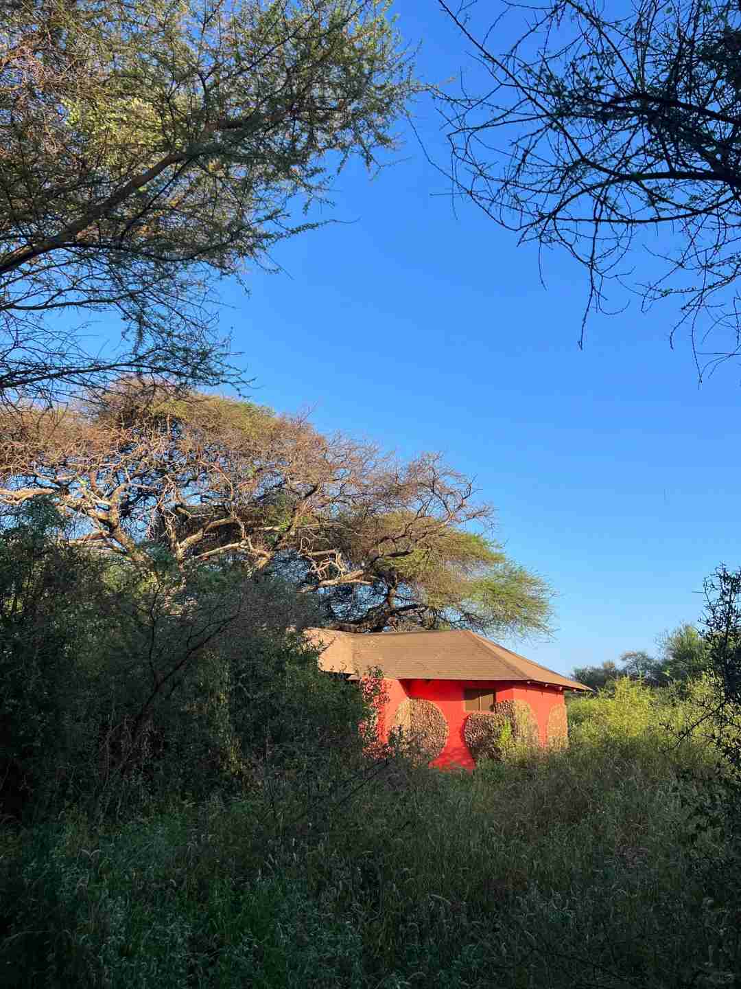 Descubra o Melhor Hotel Favorito para sua Aventura de Safári no Quênia