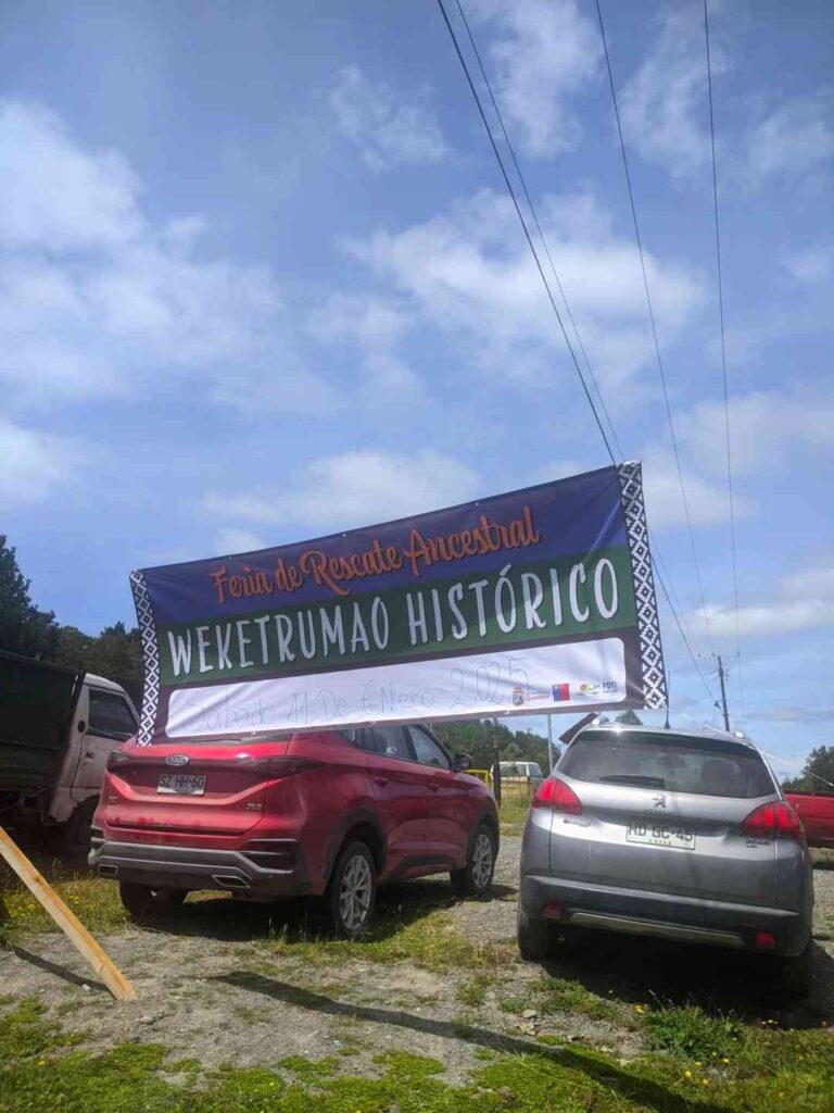 Discover the Traditional Mapuche Market: Best Self-Guided Tour Routes on Chiloé Island