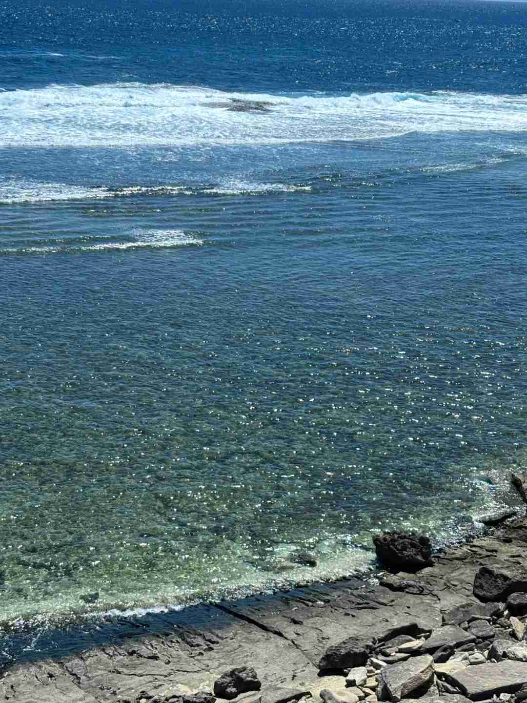 Discover the Tranquil Beauty: Rottnest Island, Where the Sea Sets the Mood 🩵