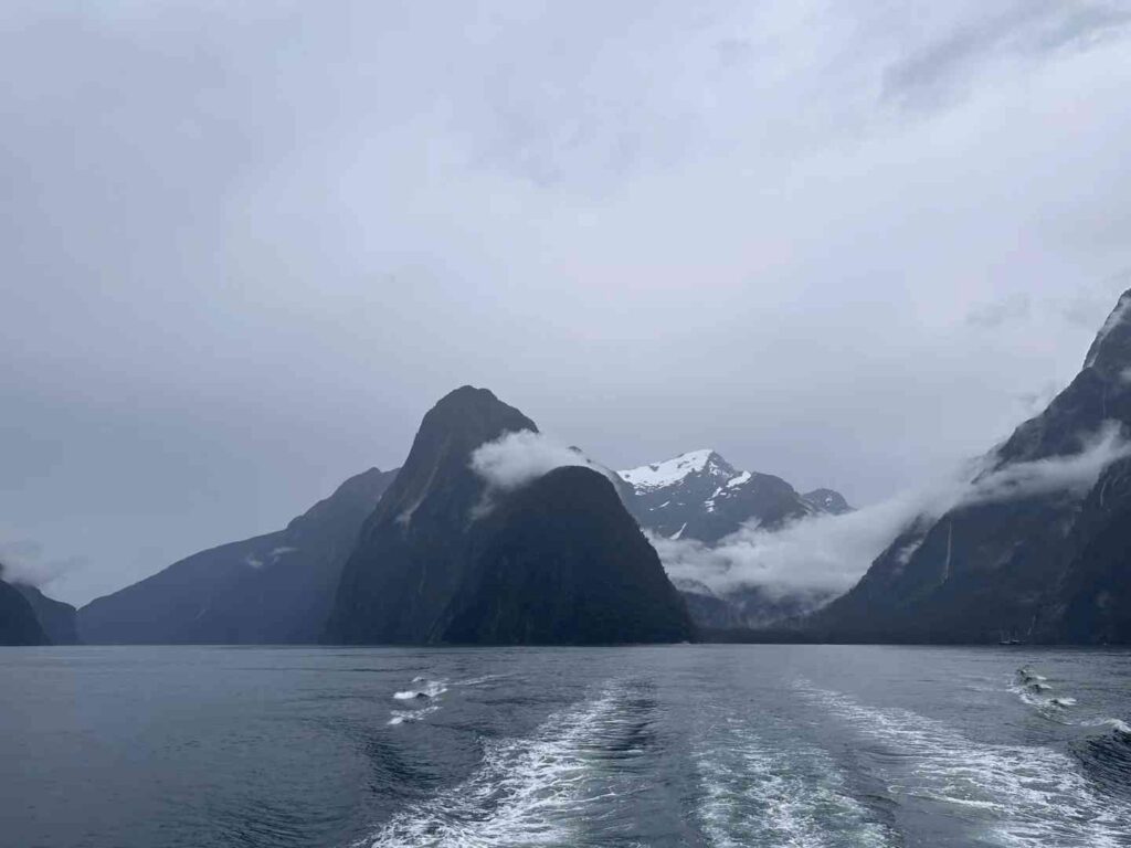 Entdecke die wahre Schönheit von Milford Sound bei einem Abenteuer an einem regnerischen Tag.