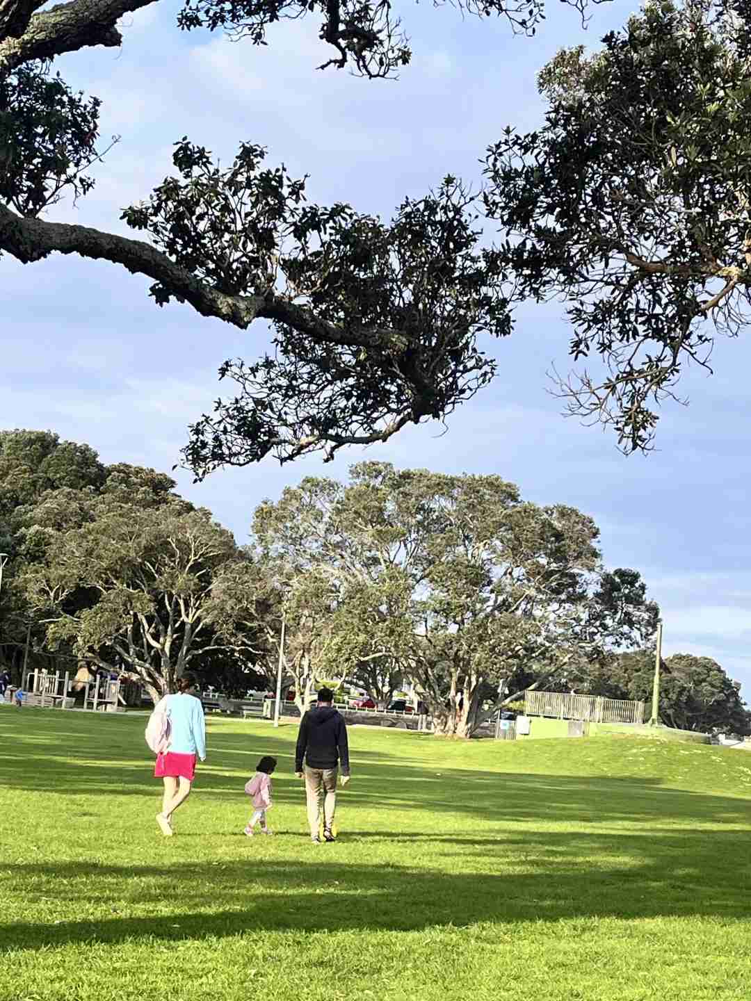 ニュージーランド、オークランドで本当に心地よいライフスタイルを発見しよう 🇳🇿