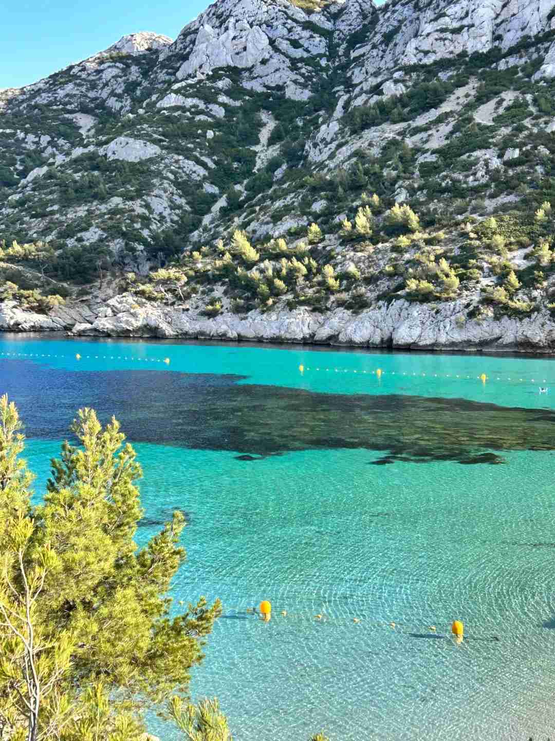 Discover the Ultimate Experience: Why Visit Marseille for Just One Thing