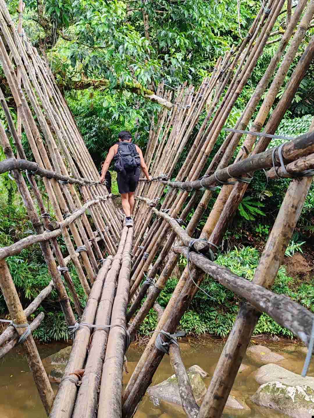 Discover the Unforgettable Hiking Adventure in Kuching's Jurassic Park-like Wilderness