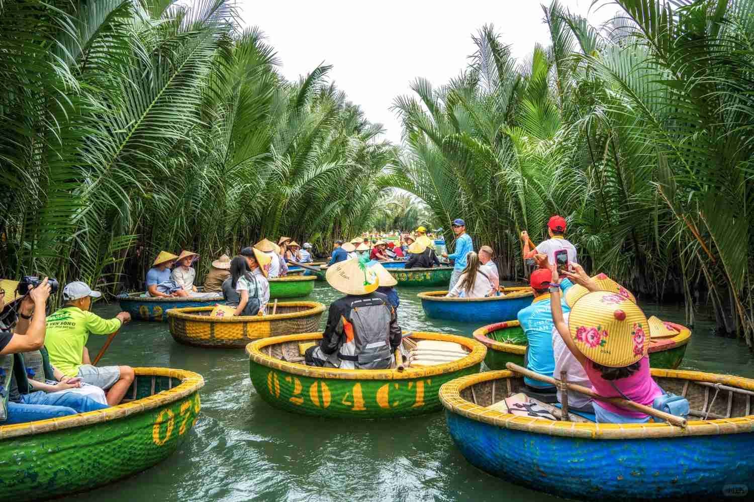 Discover the Unique Coconut Boat Trend Taking Over Vietnam's Waterways