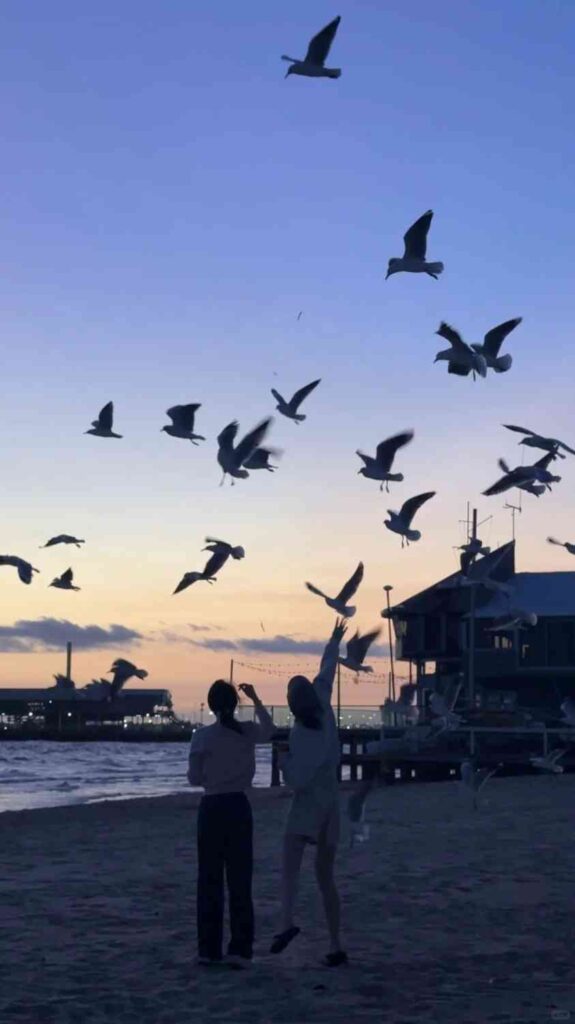 Découvrez aujourd'hui l'incomparable beauté de Port Melbourne : un guide pittoresque.