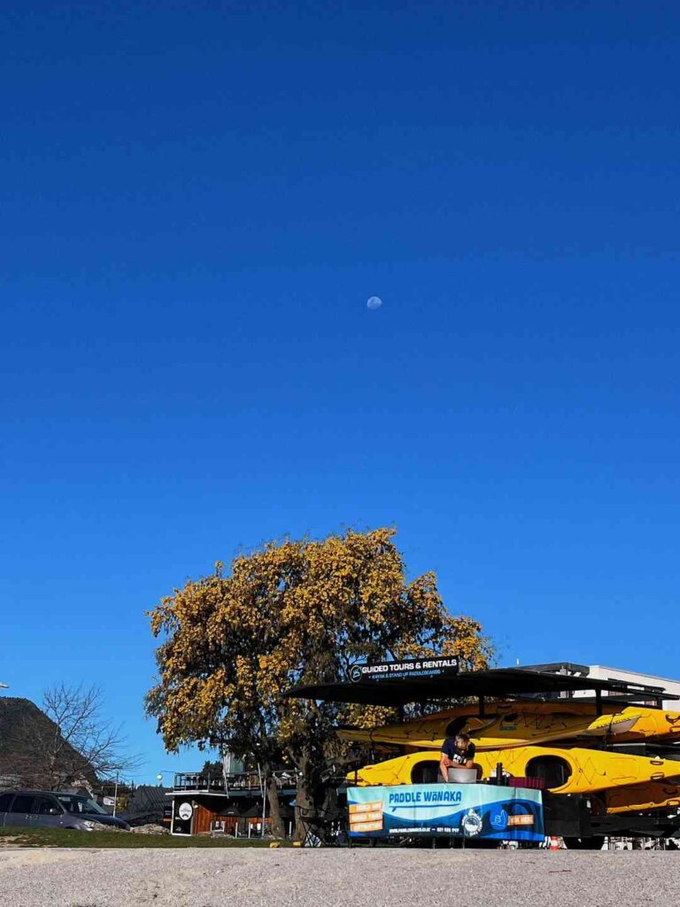 Descubra o conforto incomparável dos destinos de viagem de Wanaka e Dunedin.