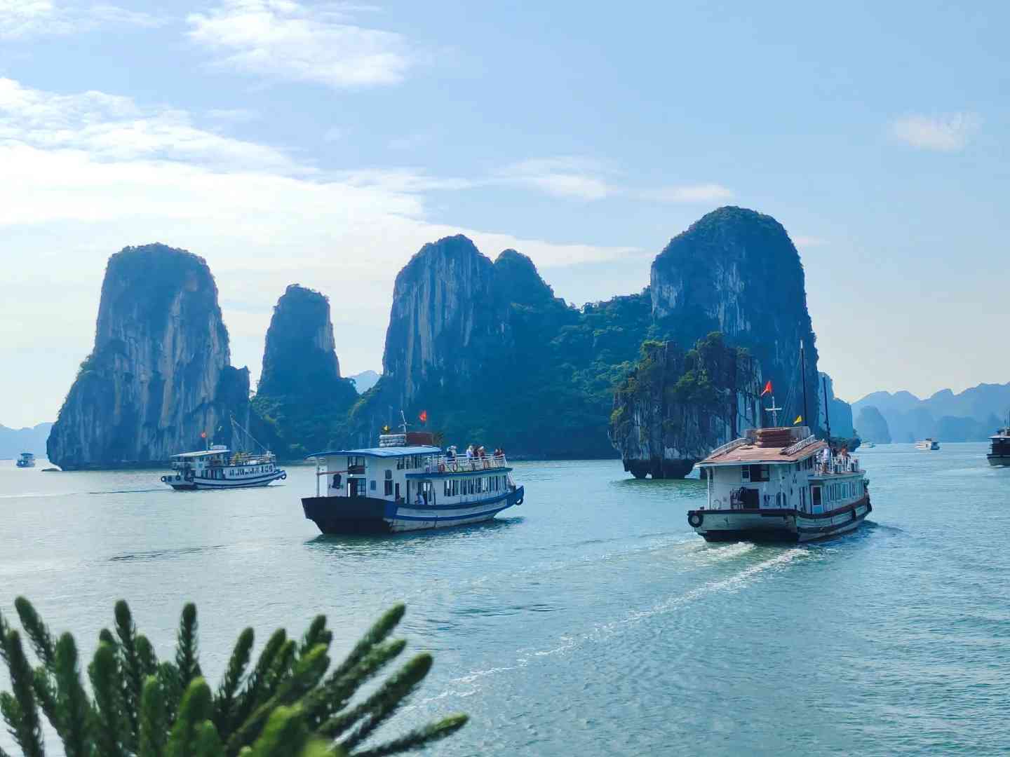 Descubra os Encantos de Ha Long: Melhores Excursões e Dicas de Viagem