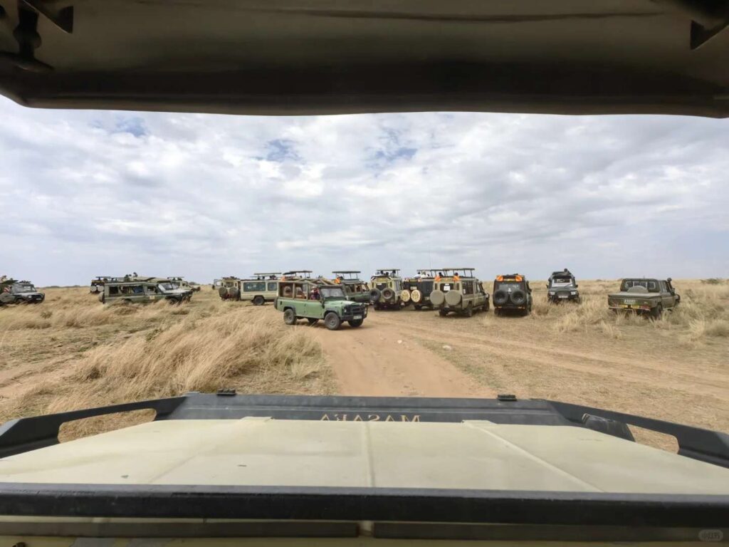 Descubra as Maravilhas de Maasai Mara: uma Aventura de Safári Aguarda