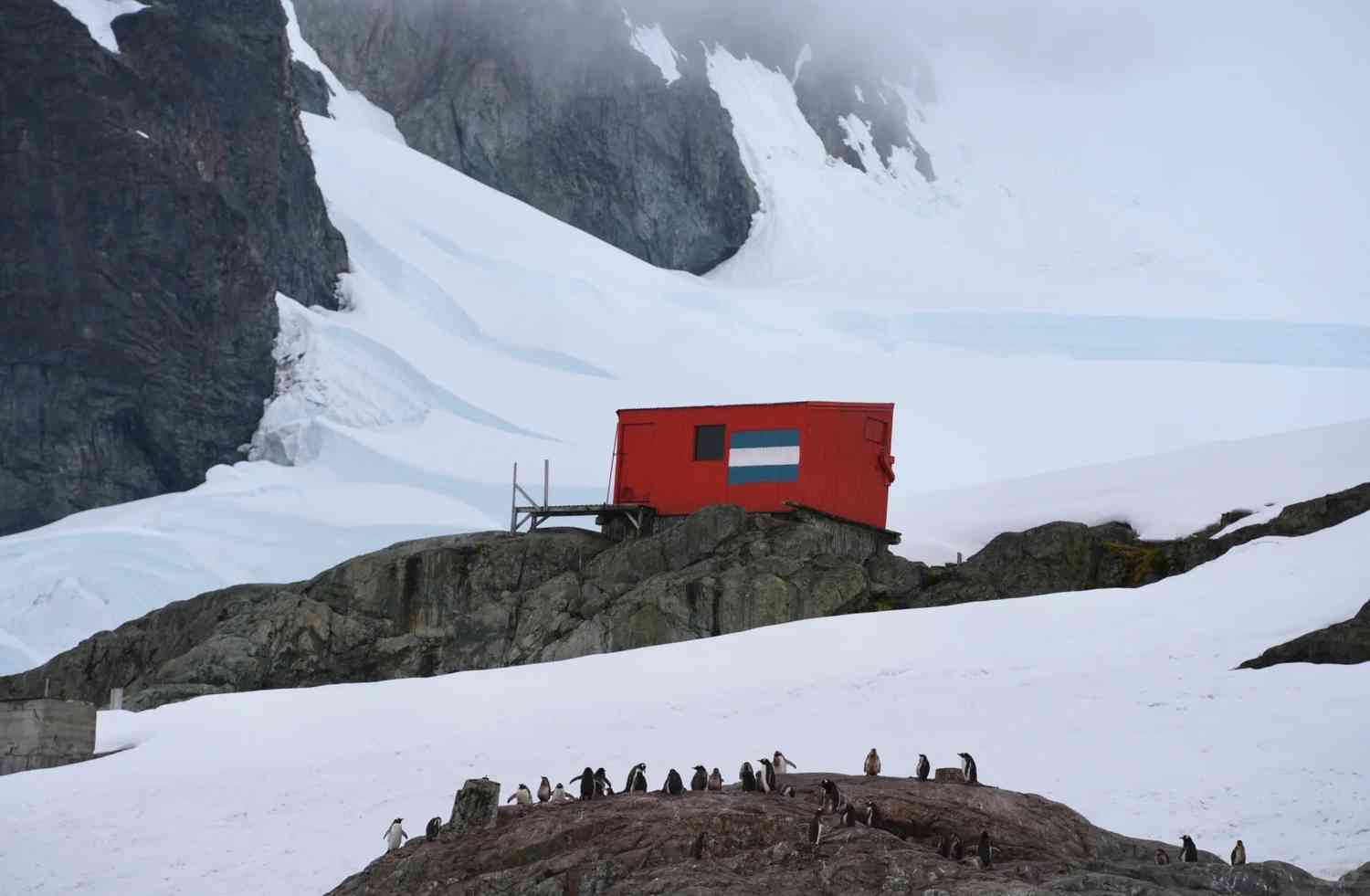 Découvrir l'Antarctique : des étapes simples pour un voyage inoubliable vers le Sud