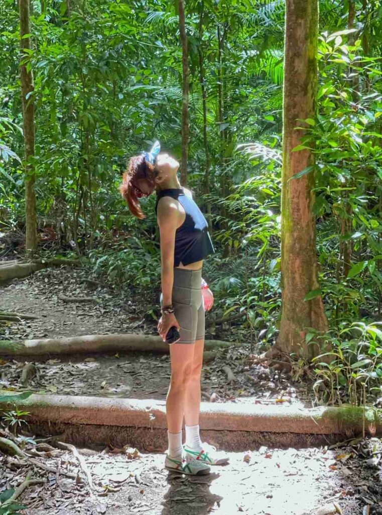 Descobrindo Cairns: Meus 4 Tesouros Escondidos e Locais Imperdíveis no Mapa