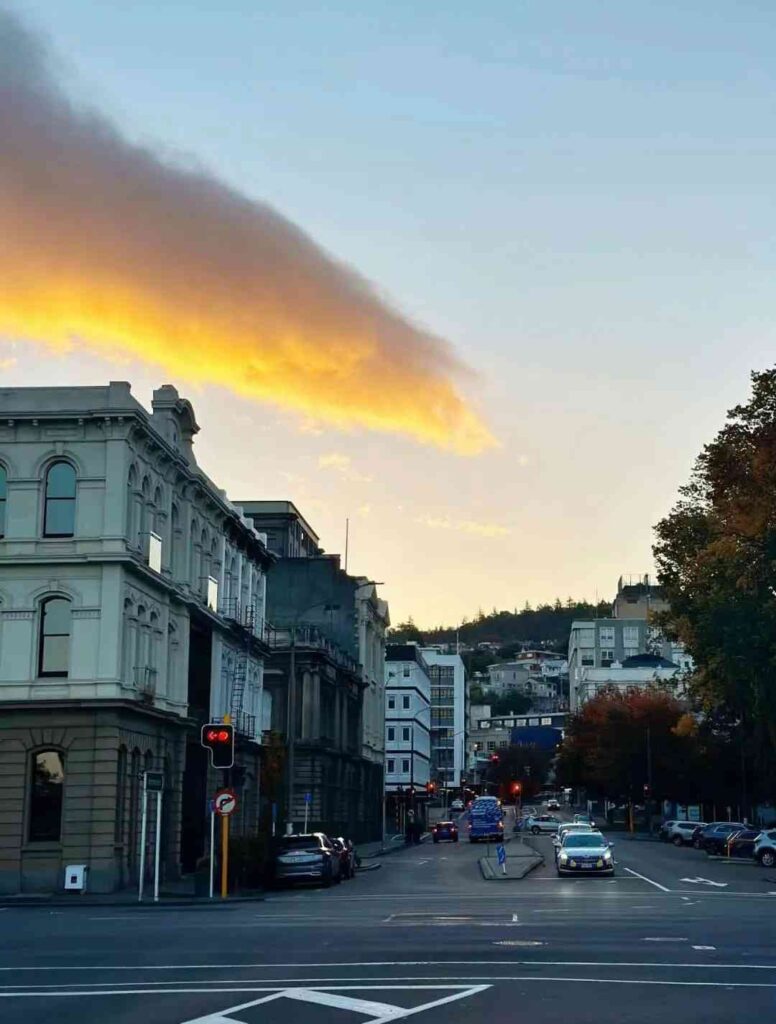 Discovering Dunedin: Is This Hidden Gem Truly Beautiful or Just a Run-Down Rural Area?