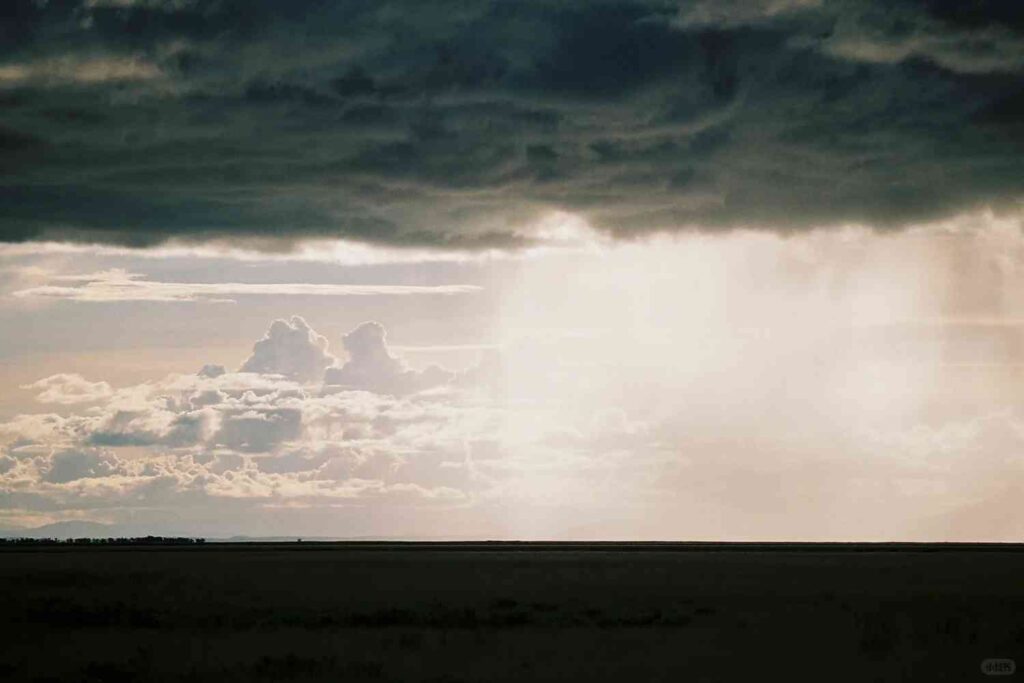 Discovering Kilimanjaro’s Lush Green Landscapes in Cinematic Films