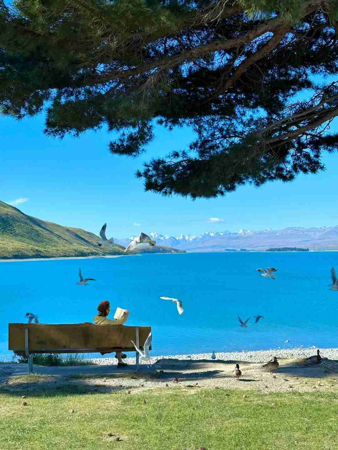 اكتشاف واناكا: أجمل من جمال كوينزتاون