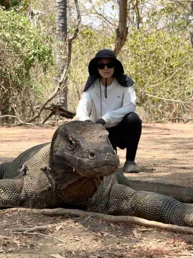 Découvrir le dragon de Komodo unique : Incontournable à l'île de Komodo 🇲🇨🐉