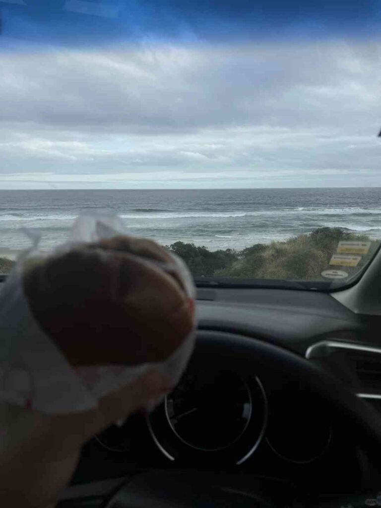 Viagem de Transporte de Tijolos em Dunedin: Lutas Uphill, Triunfos Downhill e Momentos Encorajadores