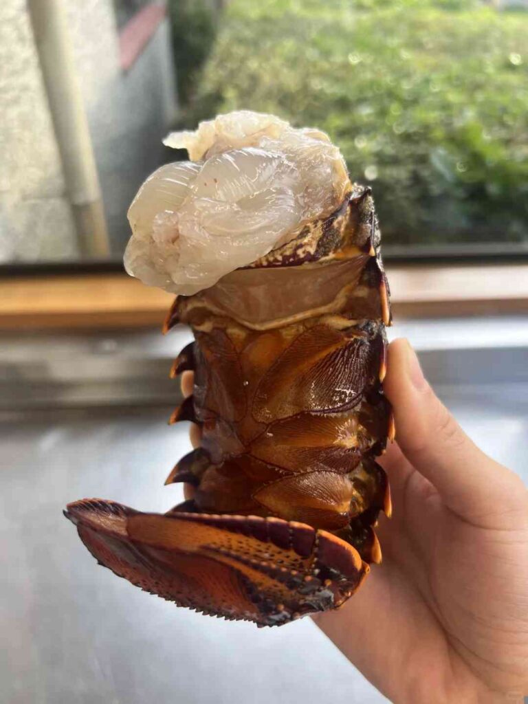 Dunedin Seafood Market: Lagosta Fresca e Delícias Saborosas 🦞😋